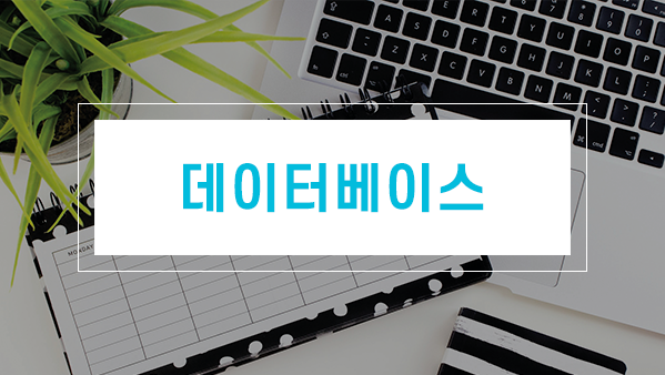 컴퓨터 활용 능력 1급 실기(데이터베이스)