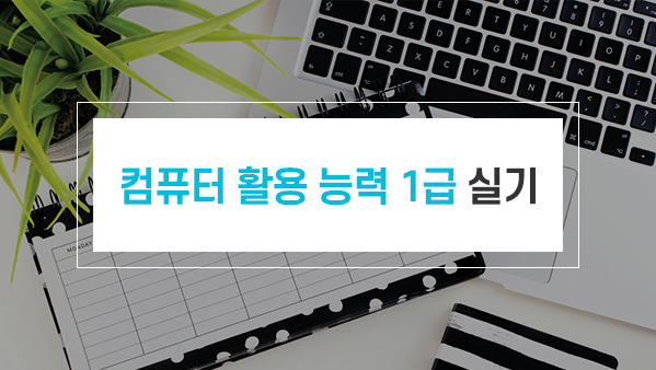 컴퓨터 활용 능력 1급 실기