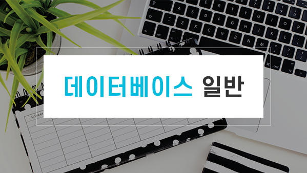 컴퓨터 활용 능력 1급 필기 - 데이터베이스 일반