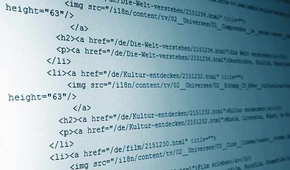 웹표준&웹접근성